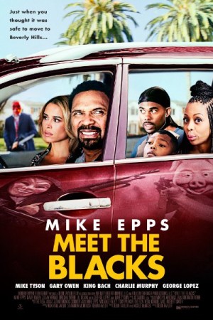 Watch Meet the Blacks Online