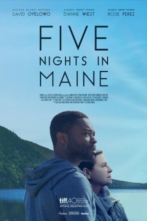 Watch Five Nights in Maine Online