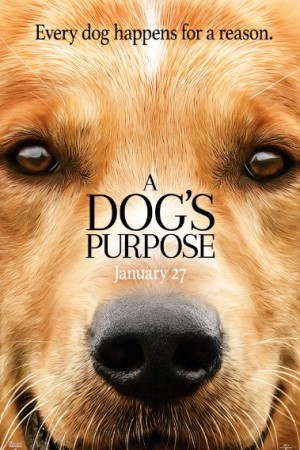 Watch A Dog’s Purpose Online