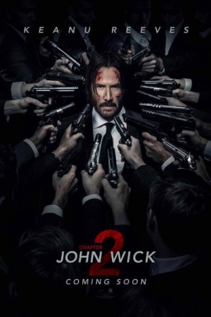 Watch John Wick: Chapter 2 Online
