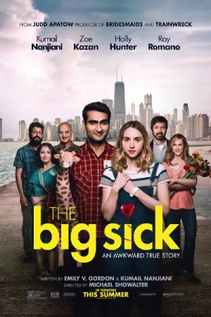 Watch The Big Sick Online