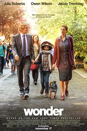 Watch Wonder Online