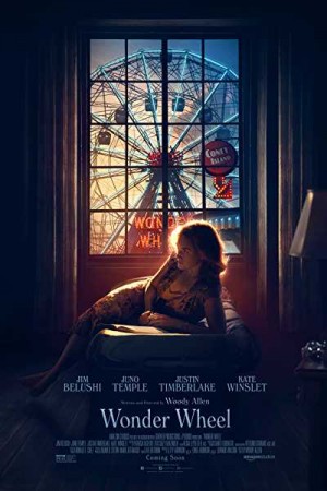 Watch Wonder Wheel Online