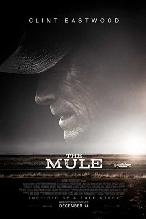 Watch The Mule Online