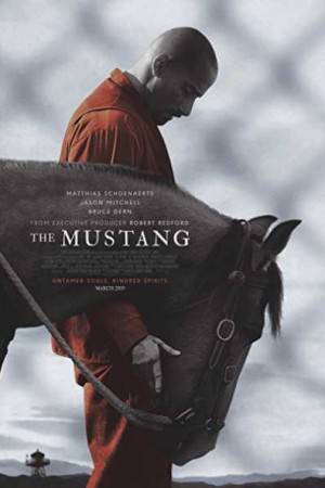 Watch The Mustang Online